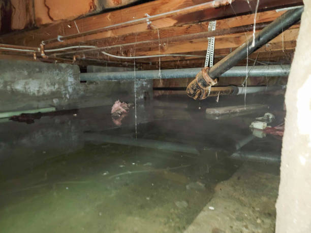 Reliable Buckhead, GA Water damage restoration Solutions