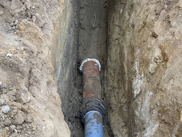 Best Flood damage cleanup  in Buckhead, GA