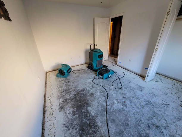 Best Flood restoration services  in Buckhead, GA