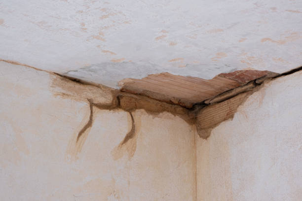 Best Water damage restoration company  in Buckhead, GA