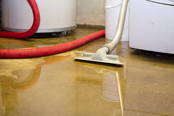Best Basement water damage restoration  in Buckhead, GA