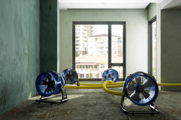 Best Flood restoration services  in Buckhead, GA
