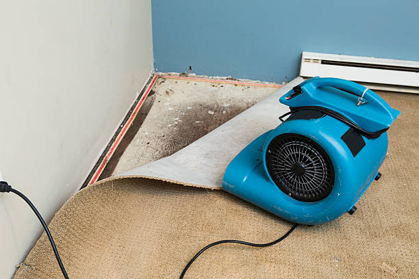 Water damage restoration mold remediation in Buckhead, GA